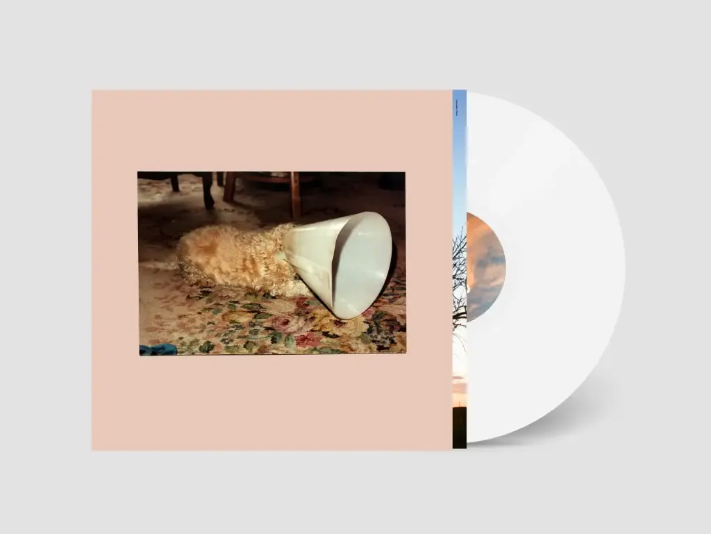 No Vinyl Mockup.webp