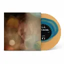 SW021LP PRODUCT MOCK.webp