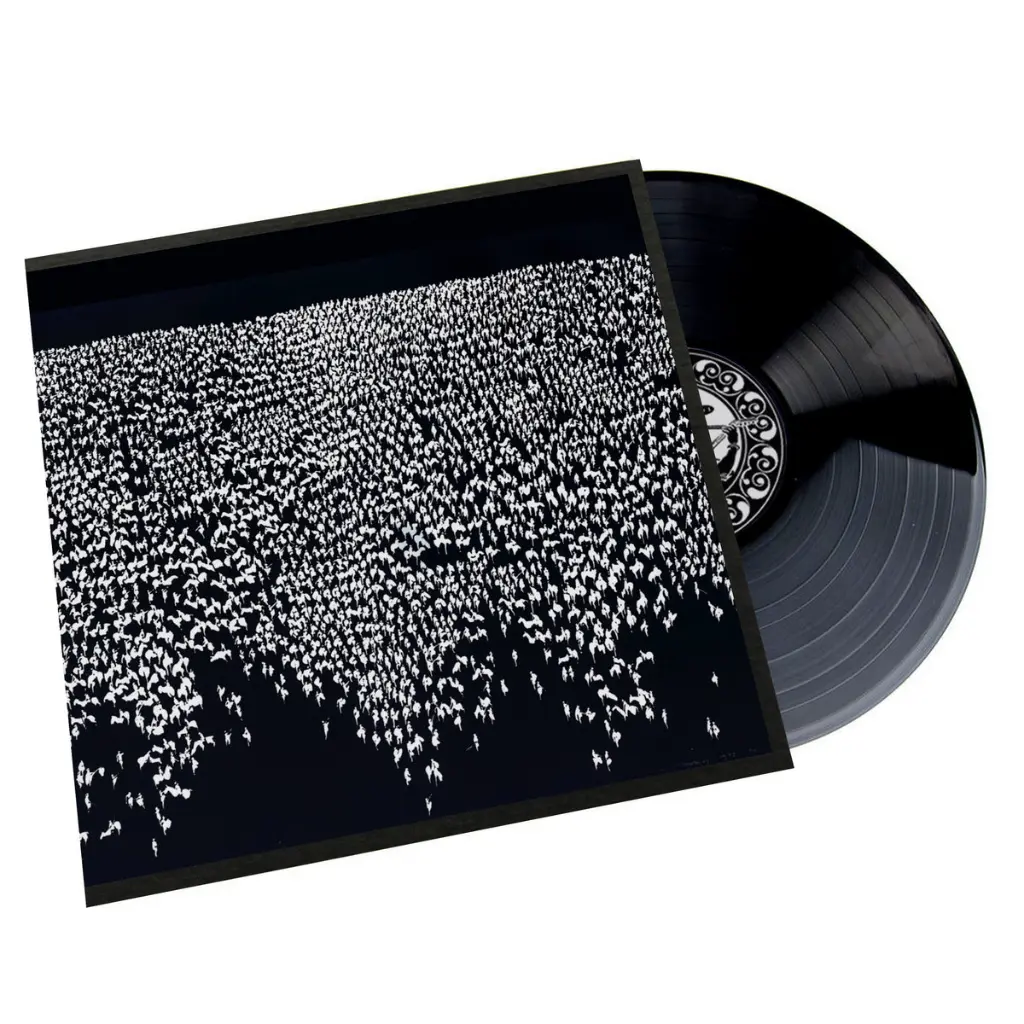 Vinyl image.webp