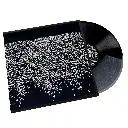Vinyl image.webp