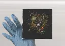 cd sleeve back cover.webp