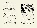 Ring-of-Truth-Witches.webp