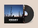 MBD_LP004V - bandcamp_vinyl_12in_template.webp