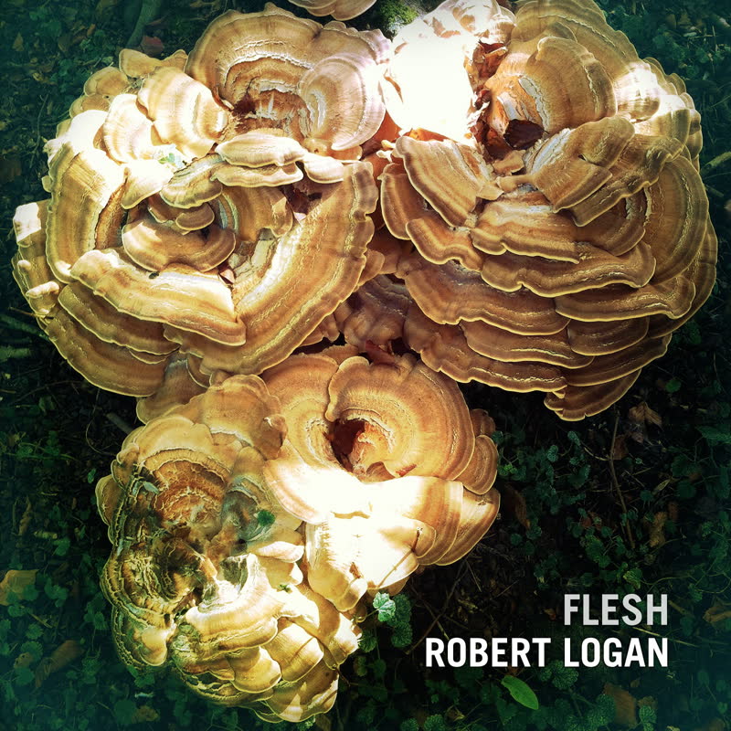 [SLOCD026] Robert Logan - Flesh - 1CD
