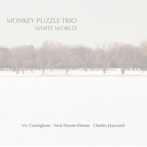 Monkey Puzzle Trio - White World - 1CD