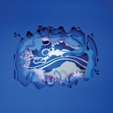 Age of Not Believing - Rainbow Plumage, Blue Shadows and Emptiness - 1CD