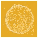 Paulius Kilbauskas - Elements - 1LP