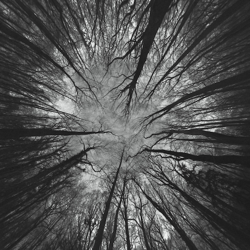 James Ginzburg & Yair Elazar Glotman - Nimbes (OST) - 12"