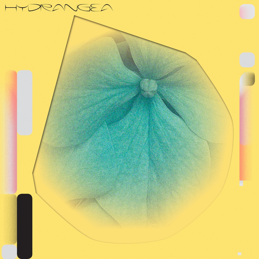 Holly Childs & Gediminas Žygus - Hydrangea - 1LP