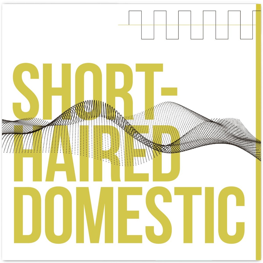 Short-Haired Domestic - Short-Haired Domestic - 1LP