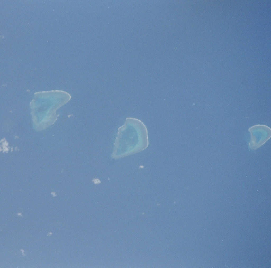 Celer - Coral Sea - 1CD