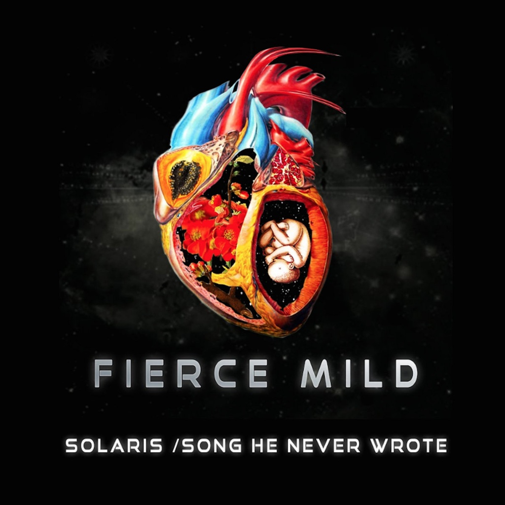 Fierce Mild - Solaris / Song He Never Wrote - 7"