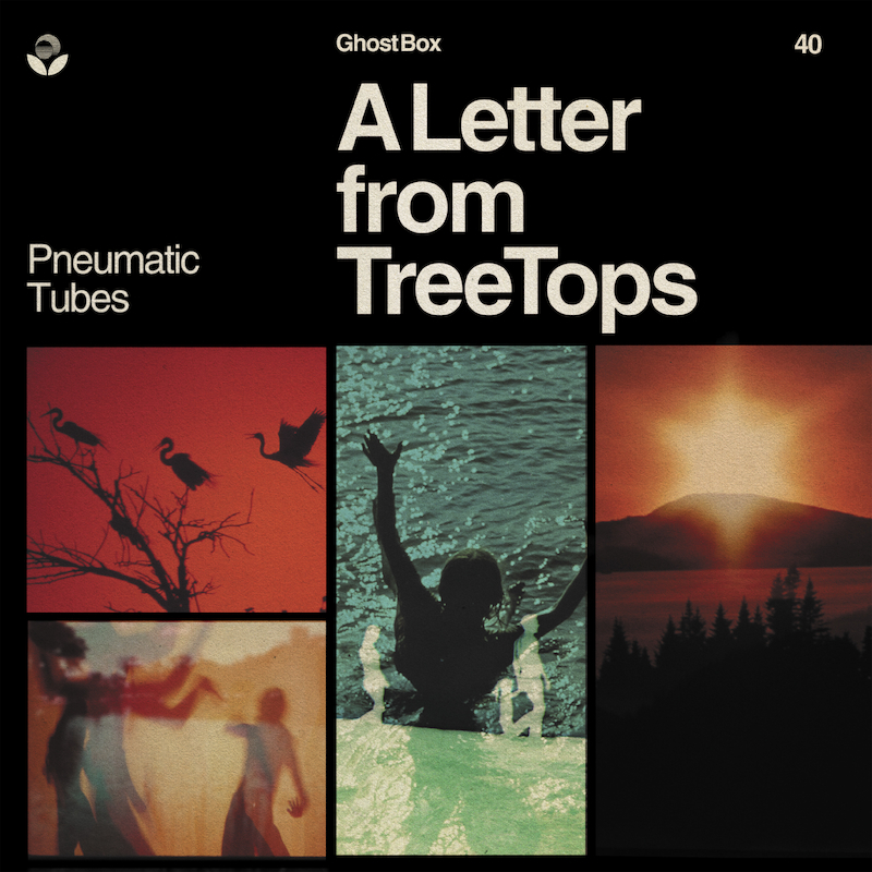 Pneumatic Tubes - A Letter from TreeTops - 1LP