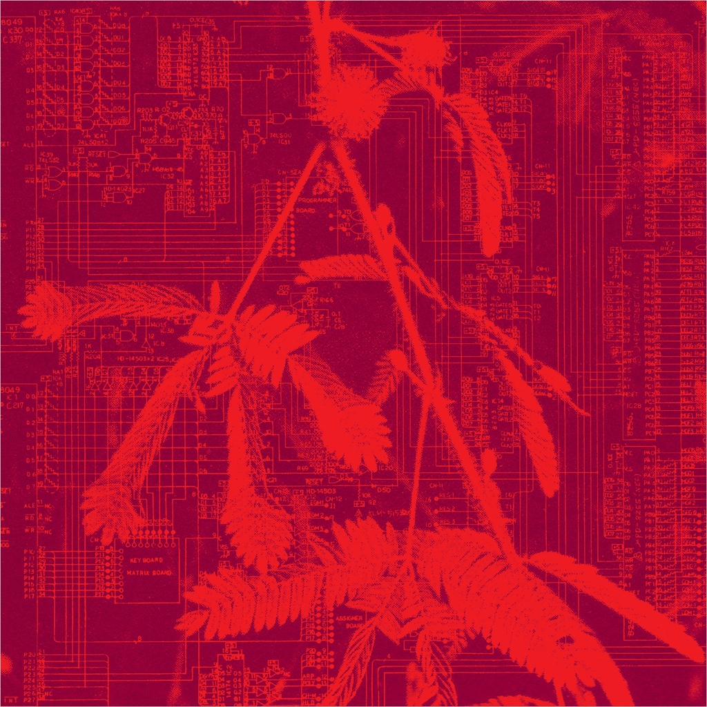 Hidden Horse - Incorporeal - LP