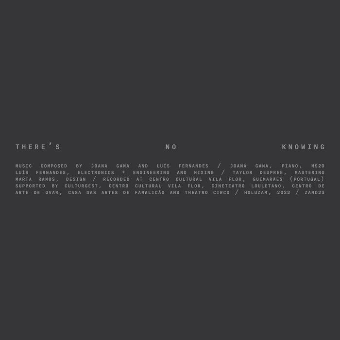 Joana Gama & Luís Fernandes - There's no knowing - 1CD