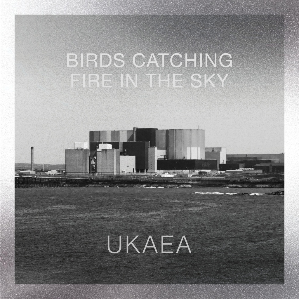 UKAEA - Birds Catching Fire in The Sky - 1LP