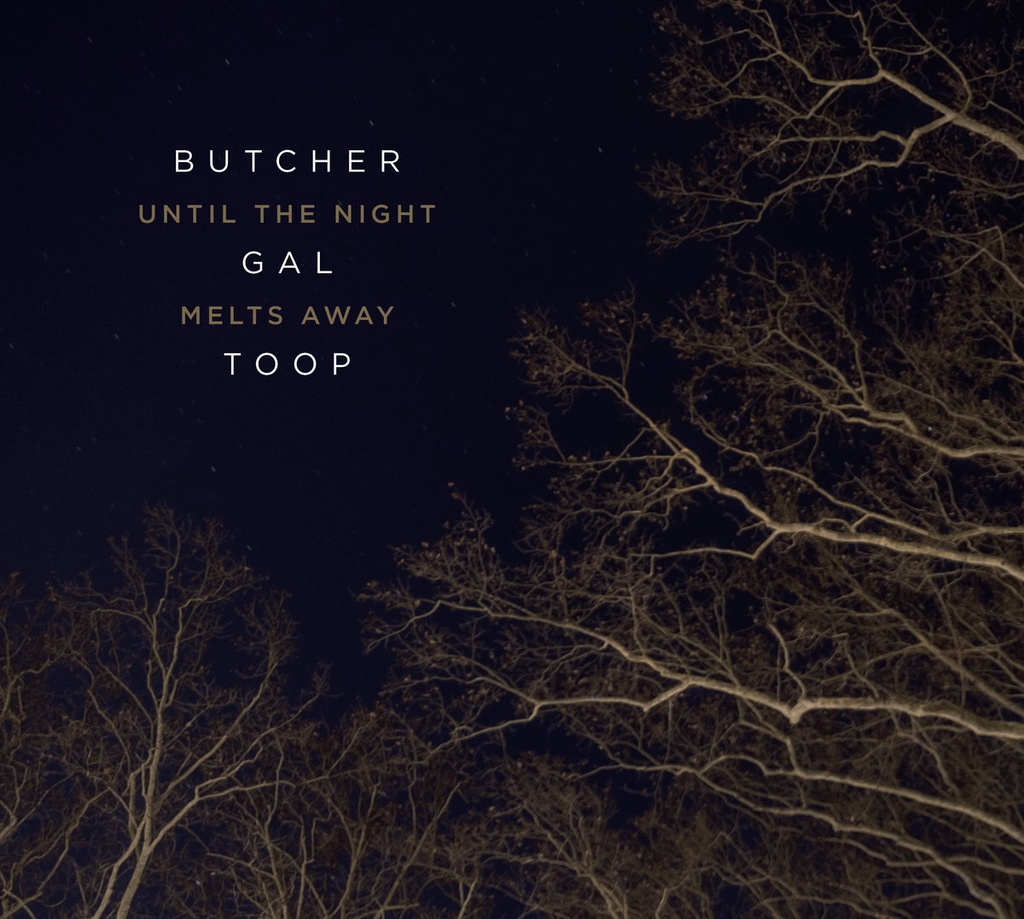 Sharon Gal, John Butcher, David Toop	- Until the Night Melts Away - 1CD
