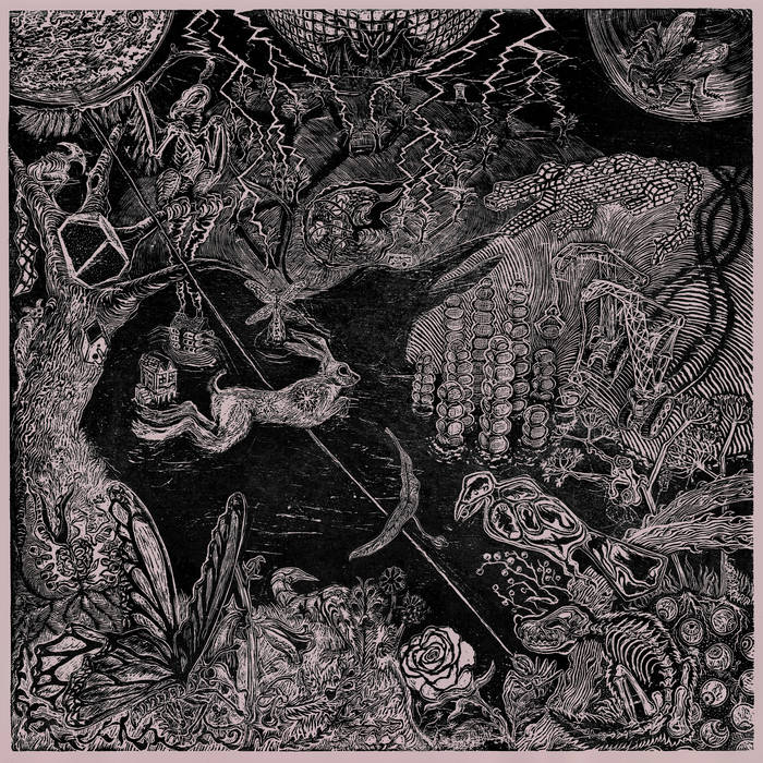 Gentle Stranger - Upon Return - 1LP