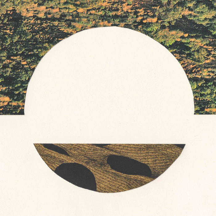 Robin Richards - Castel EP - 1LP