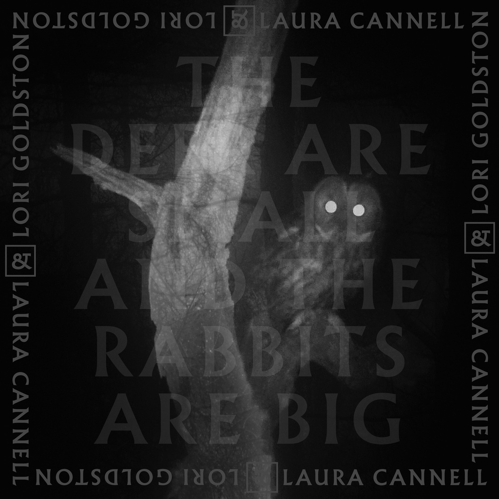 Laura Cannell and Lori Goldston - The Deer Are Small And The Rabbits Are Big - 1LP