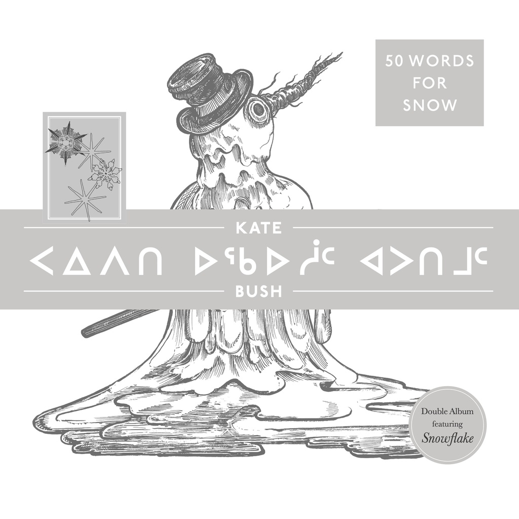 Kate Bush - 50 Words for Snow (Polar Edition) - 2LP