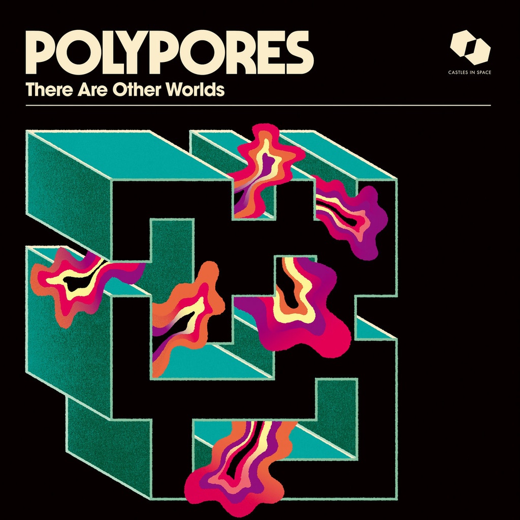 Polypores - There Are Other Words - LP