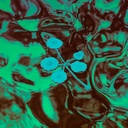 Icarus - An Ever-Growing Meridional Entertainment Transgression At The Edge Of The Multiverse - LP