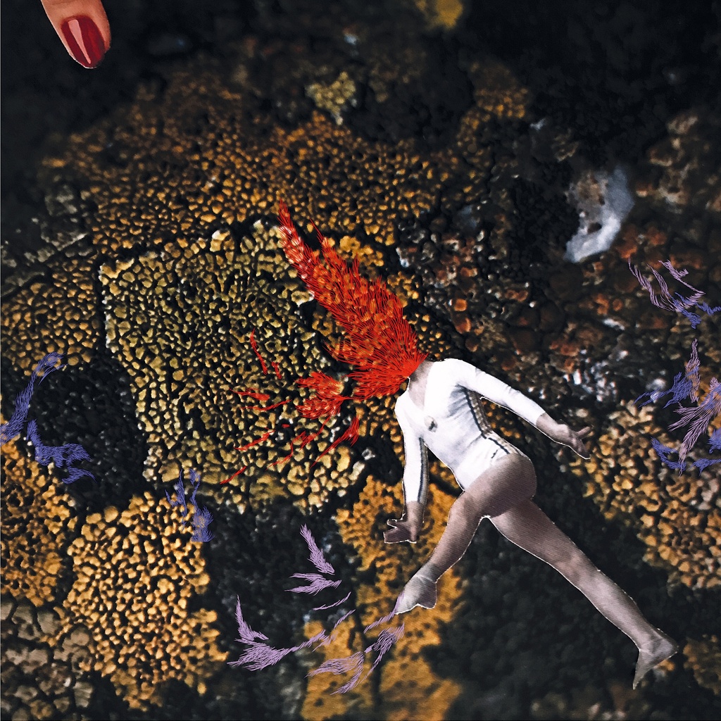 Clothilde - Cross Sections - LP