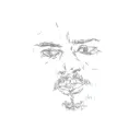 Will Long - Look Anew - 12" 