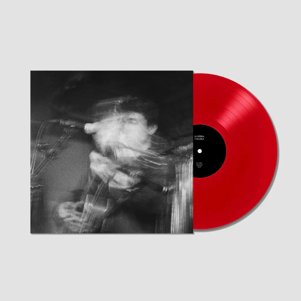 Zach Thompson - Algebra Parable / On Platt's Eyot - 12" EP
