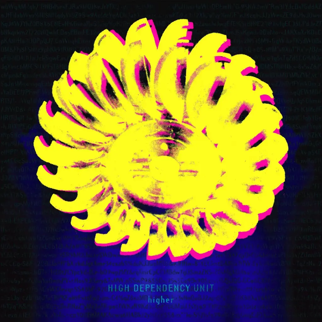 High Dependency Unit - Higher - 1LP