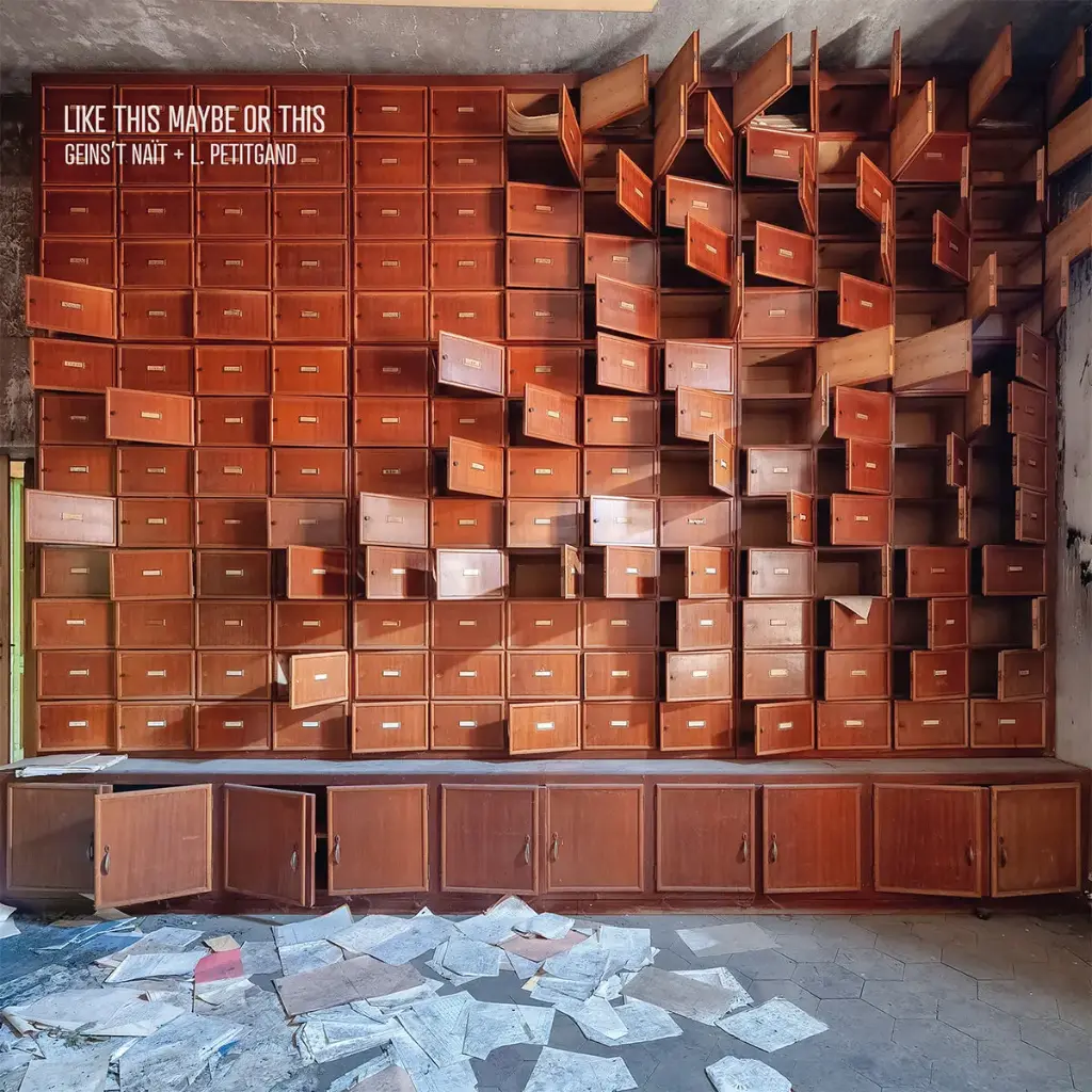 Geins't Nait / L Petitgand - Like This Maybe Or This - 1LP