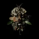 Francesco Fabris - Displaces - 1LP