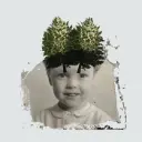 The Stargazer's Assistant - Modular Fields Vol. 1 & 2 - 2LP