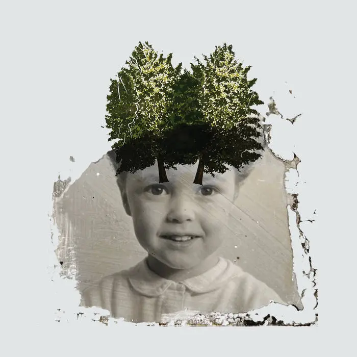 The Stargazer's Assistant - Modular Fields - 1CD