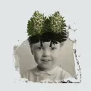 The Stargazer's Assistant - Modular Fields - CAS